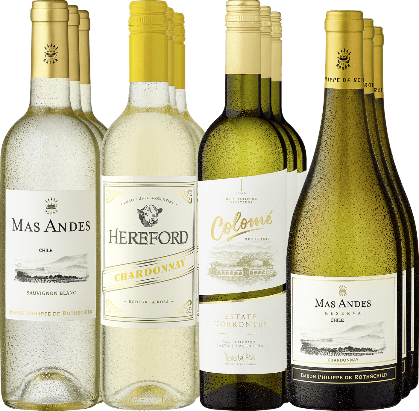 12er-Probierpaket »Südamerikas Weißweinjuwelen« von Weingesellschaft Ruyter & Ast GmbH