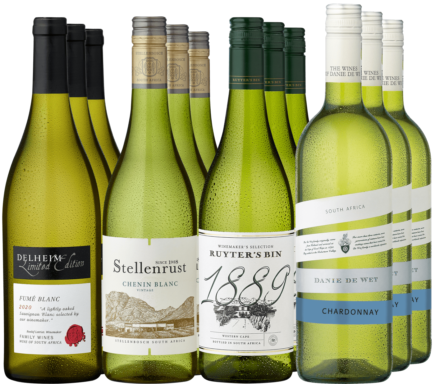 12er-Probierpaket »Weißweinvielfalt Südafrika« von Weingesellschaft Ruyter & Ast