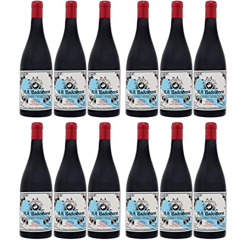 AA Badenhorst Red Blend Swartland Rotwein veganer Wein trocken Süd Afrika I Visando Paket (12 x 0,75l) von Weingut AA Badenhorst