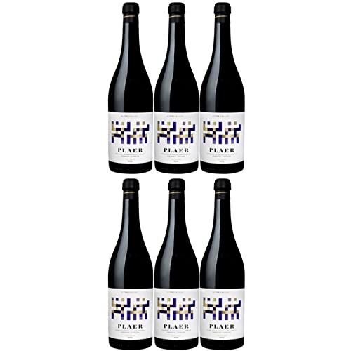Acústic Celler Plaer Priorat DOCa Rotwein Wein trocken Spanien I Visando Paket (6 x 0,75l) von Weingut Acustic Celler