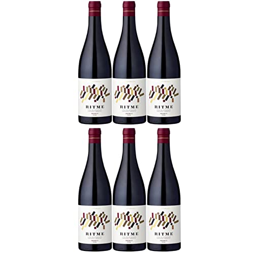 Acústic Celler Ritme Priorat DOCa Rotwein Wein trocken Spanien I Visando Paket (6 x 0,75l) von Weingut Acustic Celler