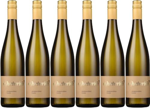 6x Weingut Sauvignon blanc trocken 2022 - Weingut Alexander Heinrich, Württemberg - Weißwein von Weingut Alexander Heinrich