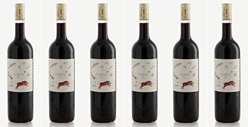 2020 Weingut Aufricht Speisemeister Rot (6x0,750l) von Weingut Aufricht