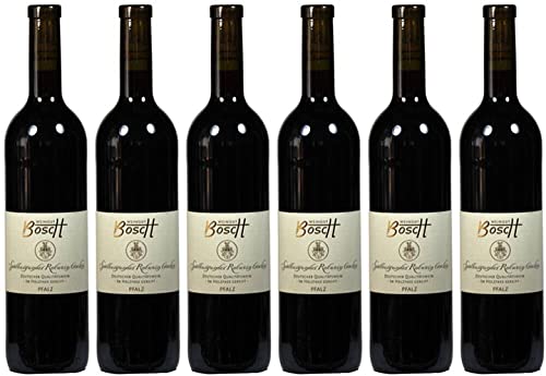 6x Spätburgunder Rotwein trocken - im Eichenholzfass gereift 2020 - Weingut Bosch, Pfalz - Rotwein von Weingut Bosch
