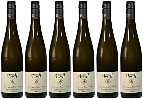 6x Sauvignon Blanc trocken 2023 - Weingut Bosch, Pfalz - Weißwein von Weingut Bosch