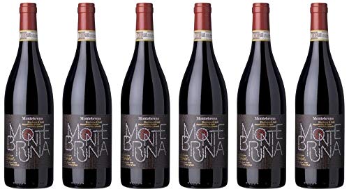 6x Braida Barbera d`Asti Montebruna 2019 - Weingut Braida, Piemonte - Rotwein von Weingut Braida