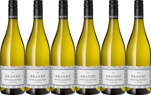 6x Weißburgunder Fume trocken Brandt 2022 - Weingut Brandt, Rheinhessen - Weißwein von Weingut Brandt