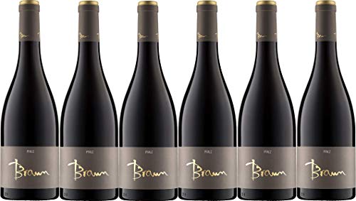 Weingut Braun Spätburgunder 2 Punkt 0 trocken Ellerstadter Kirchenstück (6 x 0,75L) von Weingut Braun