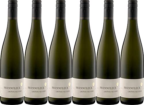 6x Grüner Silvaner trocken 2022 - Weingut Brennfleck, Franken - Weißwein von Weingut Brennfleck