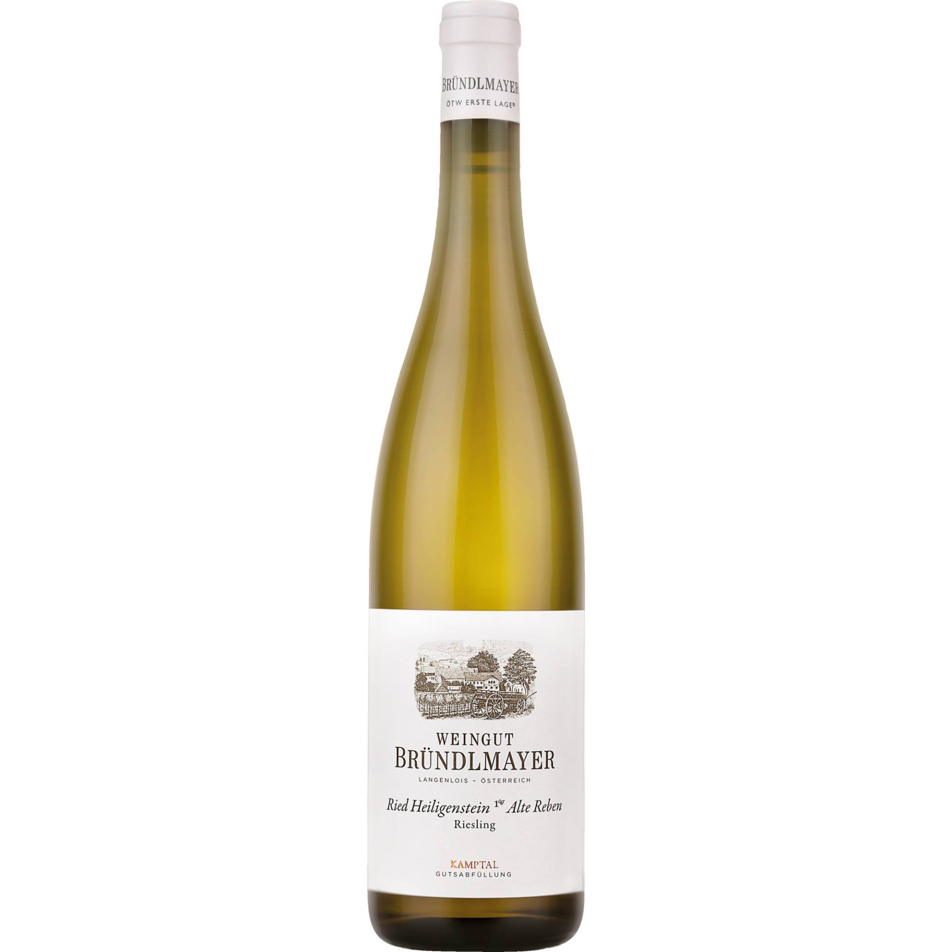Alte Reben Ried Heiligenstein Riesling, Kamptal, Niederösterreich, 2014, Weißwein Alte Reben Ried Heiligenstein Riesling, Kamptal, Niederösterreich, 2014, Weißwein von Weingut Bründlmayer,3550,Langenlois,Österreich