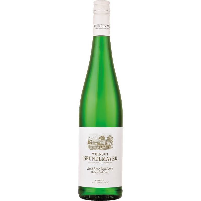 Berg Vogelsang Grüner Veltliner, Kamptal DAC, Niederösterreich, 2022, Weißwein von Weingut Bründlmayer,3550,Langenlois,Österreich