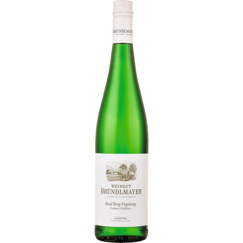 Berg Vogelsang Grüner Veltliner, Kamptal DAC, Niederösterreich, 2023, Weißwein von Weingut Bründlmayer,3550,Langenlois,Österreich