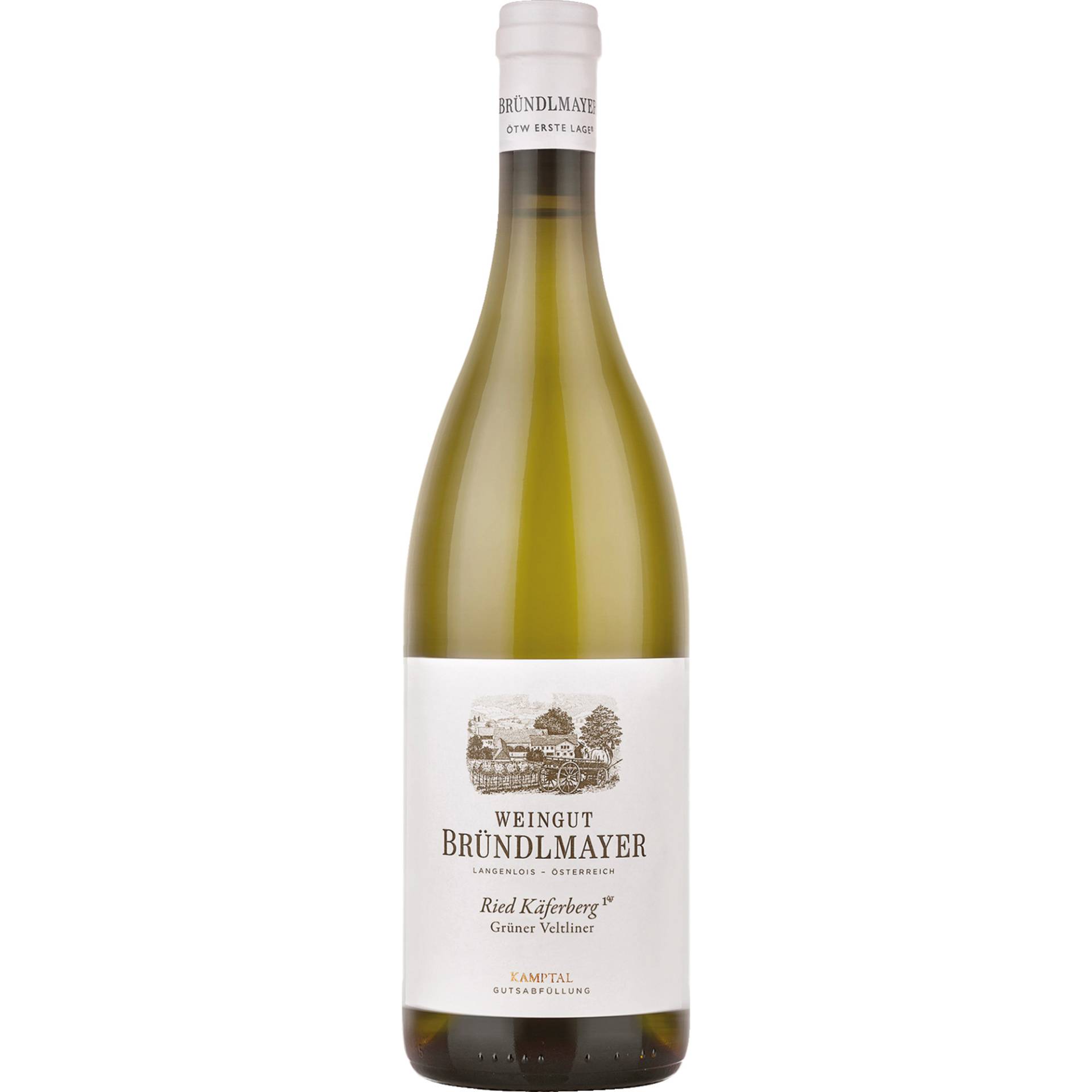 Bründlmayer Käferberg Ried Grüner Veltliner, Kamptal, Niederösterreich, 2020, Weißwein von Weingut Bründlmayer,3550,Langenlois,Österreich