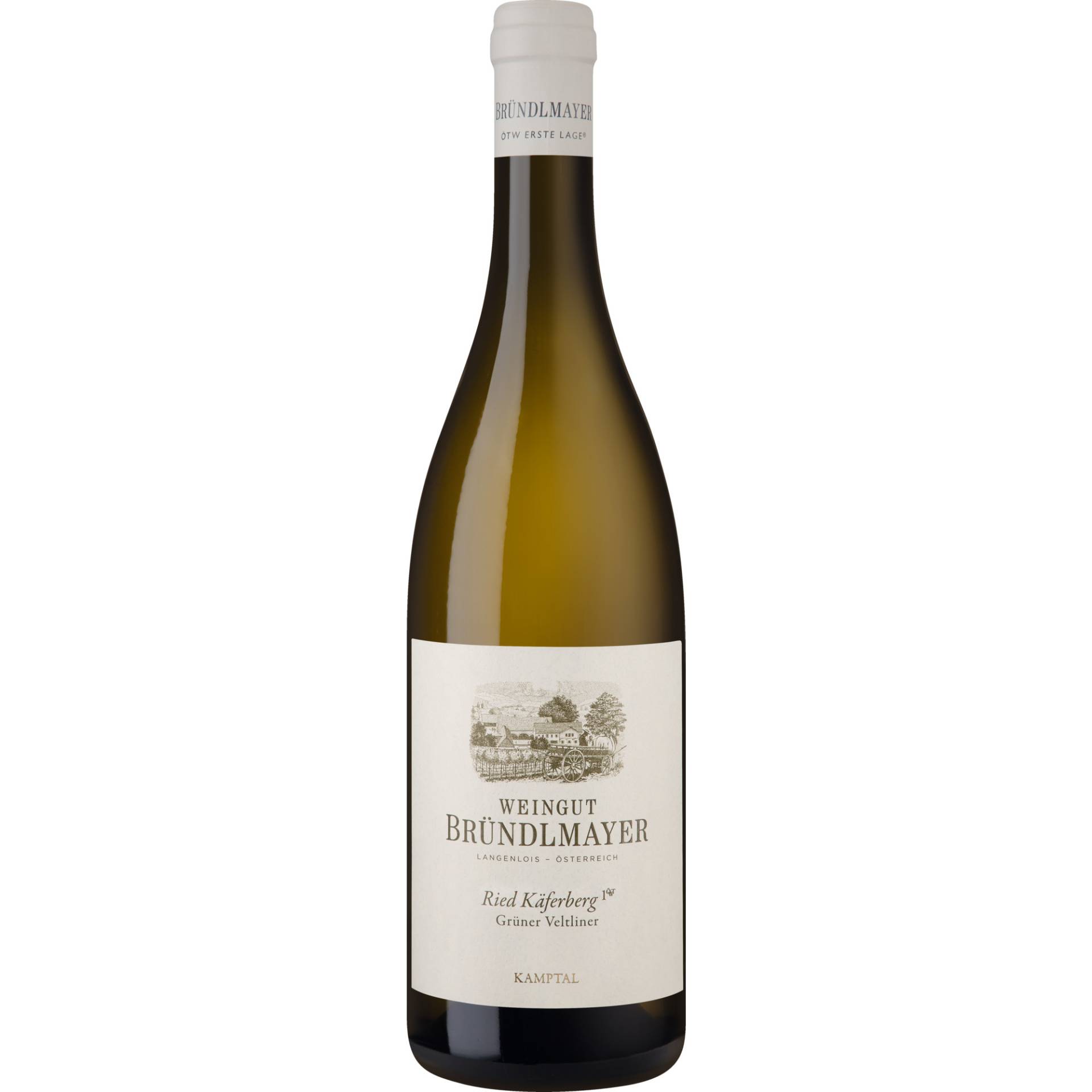 Bründlmayer Ried Käferberg Grüner Veltliner, Kamptal DAC, Erste Lage, Niederösterreich, 2021, Weißwein Bründlmayer Ried Käferberg Grüner Veltliner, Kamptal DAC, Erste Lage, Niederösterreich, 2021, Weißwein von Weingut Bründlmayer GmbH, 3550 Langenlois, Österreich