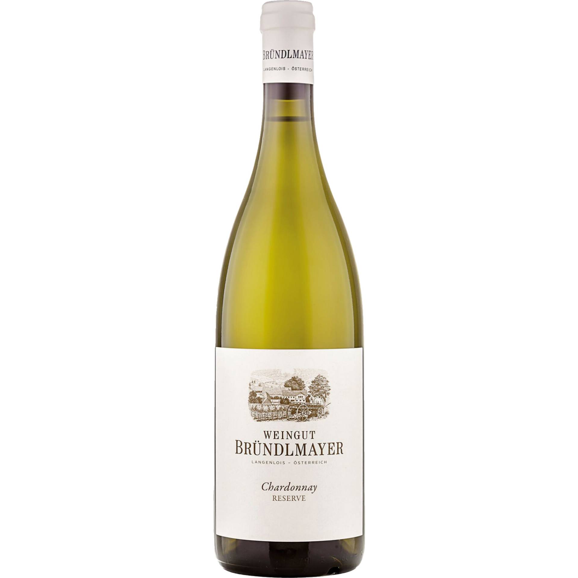 Ried Steinberg Chardonnay Reserve, Kamptal, Trocken, Niederösterreich, 2022, Weißwein Ried Steinberg Chardonnay Reserve, Kamptal, Trocken, Niederösterreich, 2022, Weißwein von Weingut Bründlmayer,3550,Langenlois,Österreich