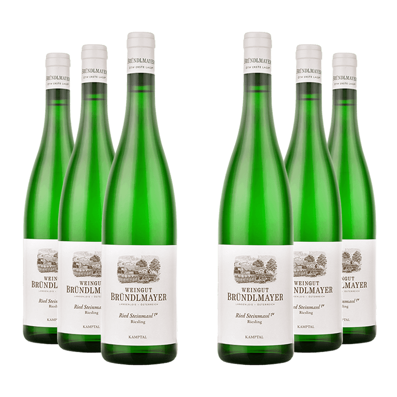 Weingut Bründlmayer : Riesling Langenloiser Steinmassl 2019 von Weingut Bründlmayer