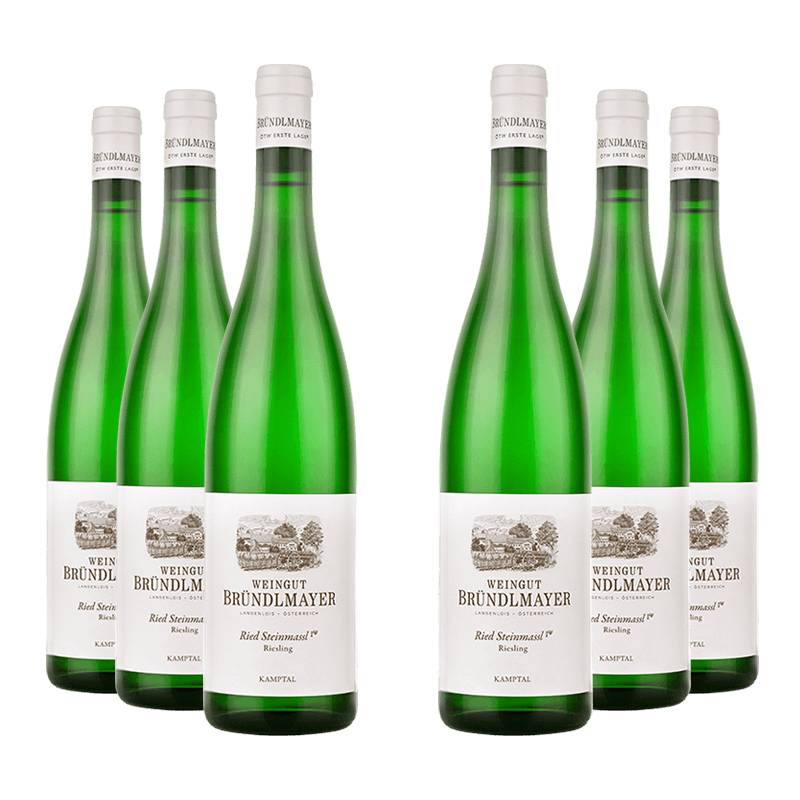 Weingut Bründlmayer : Riesling Langenloiser Steinmassl 2019 von Weingut Bründlmayer