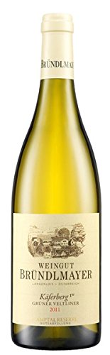 Weingut Bründlmayer Grüner Veltliner Käferberg Kamptal DAC Reserve Erste ÖTW Lage, 1er Pack (1 x 750 ml) von Weingut Bründlmayer