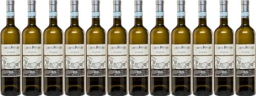 12x Corte Pitora Custoza 2022 - Weingut Casa Vinicola Bennati, Veneto - Weißwein von Weingut Casa Vinicola Bennati