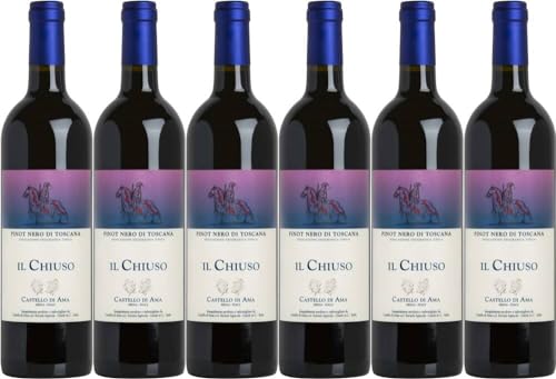 6x Pinot Nero Il Chiuso 2019 - Weingut Castello Di Ama, Toscana - Rotwein von Weingut Castello Di Ama