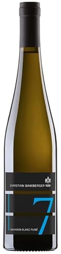 Sauvignon Blanc Fumé tr. 2020 von Christian Bamberger - Steinhardter Hof (1x0,75l), trockener Weisswein von der Nahe von Weingut Christian Bamberger