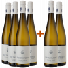 WirWinzer Select 2023 4+2 Rauenthal Riesling WirWinzer Select 2023 4+2 Rauenthal Riesling von Weingut Diefenhardt