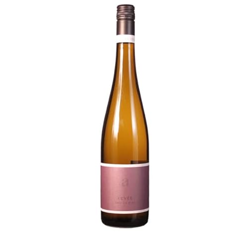 Weingut Diehl 2021 Cuvée 3/1 trocken (057) 0.75 Liter von Weingut Diehl