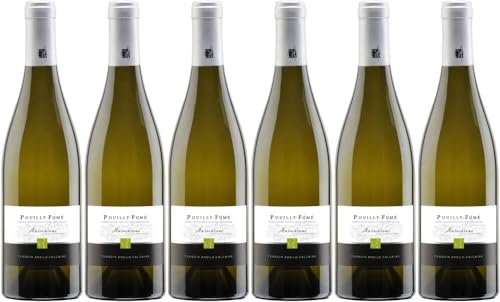 6x Pouilly Fumé 2022 - Weingut Domaine Gérard Fiou, Vallée de la Loire - Weißwein von Weingut Domaine Gérard Fiou
