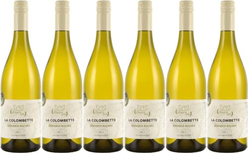 6x Colombette Souvignier Muscaris Sz 2/2022 - Weingut Domaine la Colombette, Languedoc-Roussillon - Weißwein von Weingut Domaine la Colombette