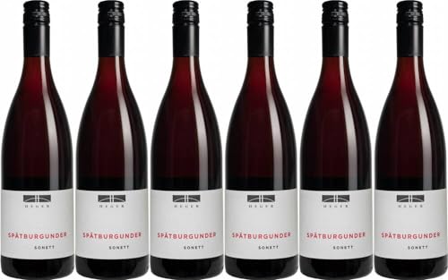 6x Heger Spätburgunder,Sonett' 2018 - Weingut Dr. Heger, Baden - Rotwein von Weingut Dr. Heger