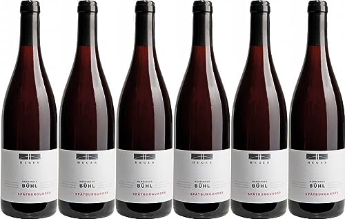 6x Heger Spätburgunder Merdinger Bühl 2019 - Weingut Dr. Heger, Baden - Rotwein von Weingut Dr. Heger
