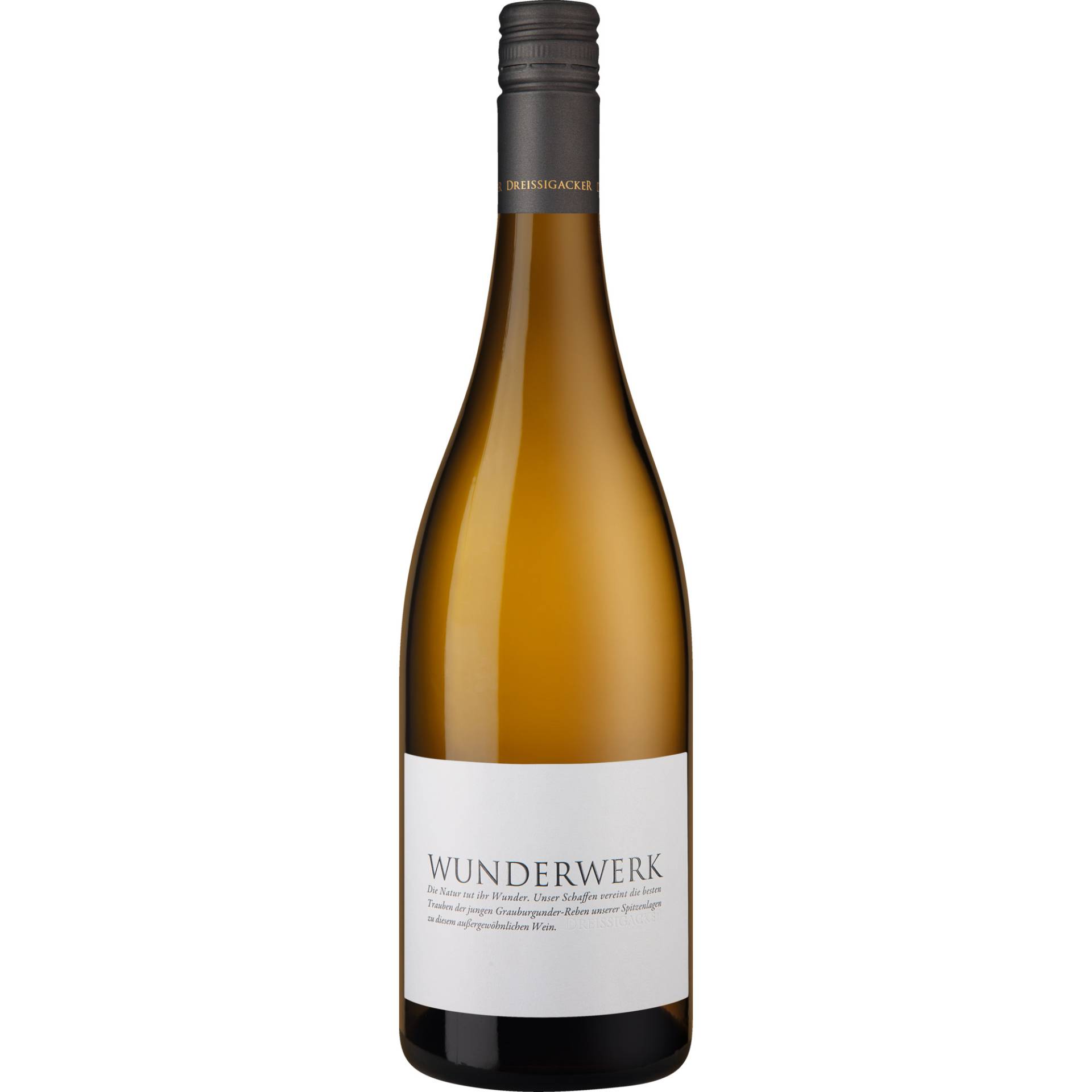 Wunderwerk Grauburgunder, Trocken, Rheinhessen, Rheinhessen, 2022, Weißwein Wunderwerk Grauburgunder, Trocken, Rheinhessen, Rheinhessen, 2022, Weißwein von Weingut Dreissigacker, D - 67595 Bechtheim