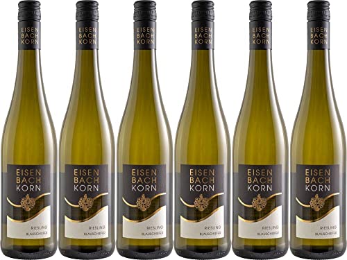 6x Riesling Blauschiefer 2020 - Weingut Eisenbach-Korn, Mittelrhein - Weißwein von Weingut Eisenbach-Korn