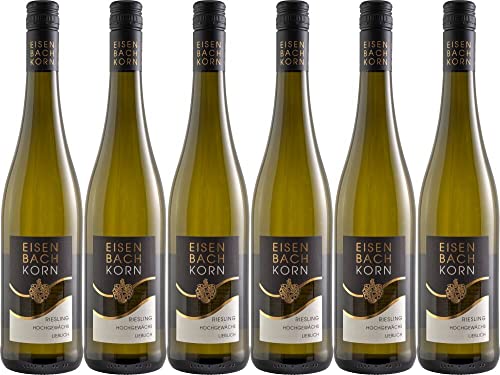 6x Riesling Hochgewächs 2020 - Weingut Eisenbach-Korn, Mittelrhein - Weißwein von Weingut Eisenbach-Korn
