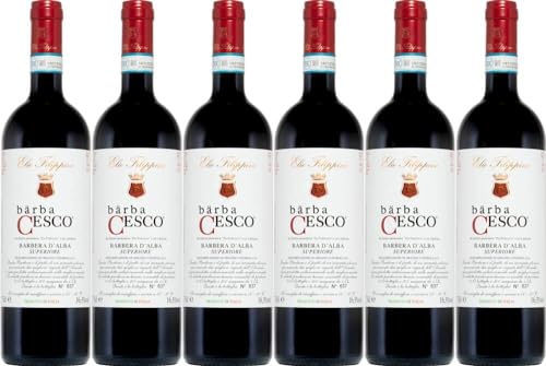 6x Bärba Cesco Barbera d' Alba Superiore 2019 - Weingut Elio Filippino, Piemonte - Rotwein von Weingut Elio Filippino