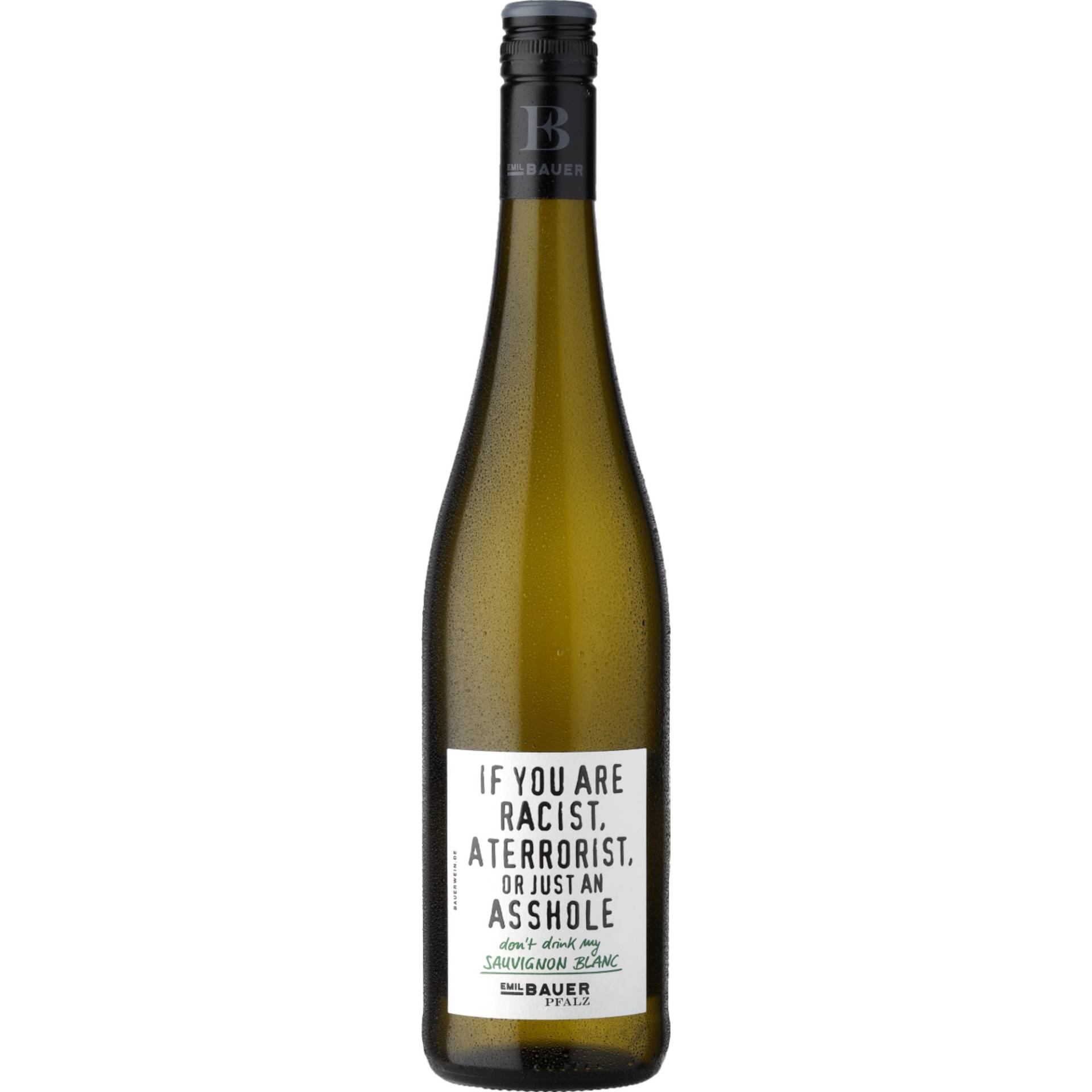 Bauer Terrorist Sauvignon Blanc, Trocken, Pfalz, Pfalz, 2023, Weißwein Bauer Terrorist Sauvignon Blanc, Trocken, Pfalz, Pfalz, 2023, Weißwein von Weingut Emil Bauer GbR Walsheimer Straße 18 76829 Landau-Nußdorf - Deutschland