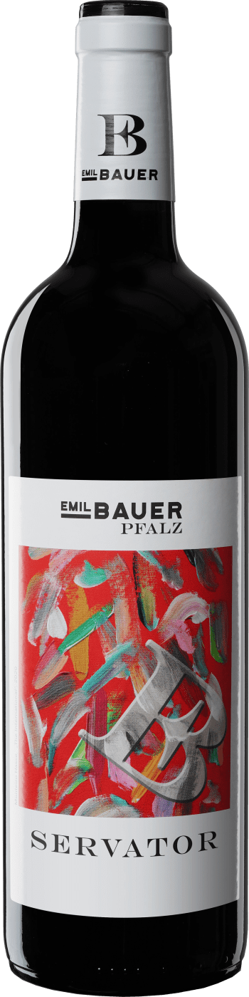 Emil Bauer Servator von Emil Bauer