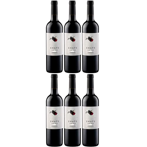 Enate Syrah Shiraz DO Rotwein Wein Trocken Spanien I Visando Paket (6 x 0,75l) von Weingut Enate