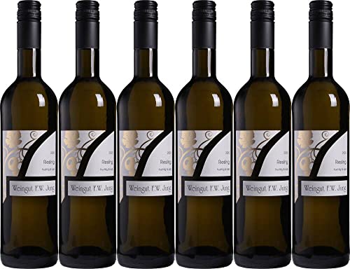 6x Riesling Spätlese fruchtsüß 2018 - Weingut F.W. Jung, Nahe - Weißwein von Weingut F.W. Jung