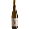 Repolusk 2020 Ried Oberglanz Sauvignon Blanc Südsteiermark DAC trocken von Weingut Familie Repolusk