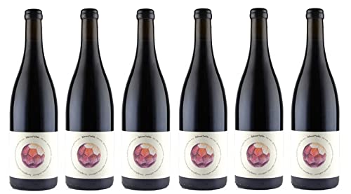 6x 0,75l - Weingut Fidesser - orbis - natural wine - rot - Wein aus Österreich - Rotwein trocken von Weingut Fidesser