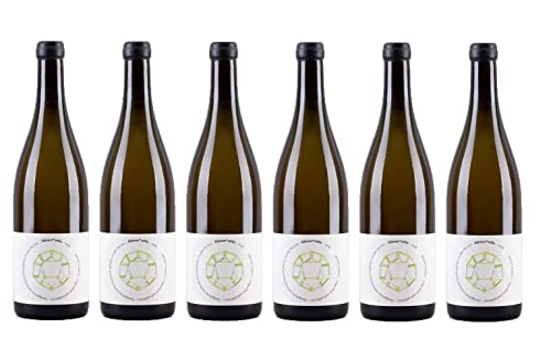 6x 0,75l - Weingut Fidesser - orbis - natural wine - weiß - Wein aus Österreich - Weißwein trocken von Weingut Fidesser