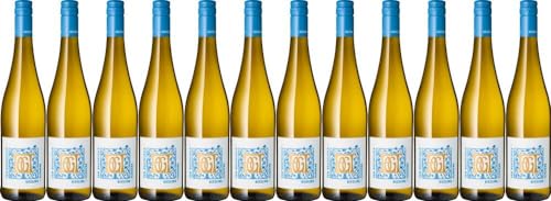 12x 'Vom Muschelkalk' Riesling feinherb 2023 - Weingut Fogt, Rheinhessen - Weißwein von Weingut Fogt