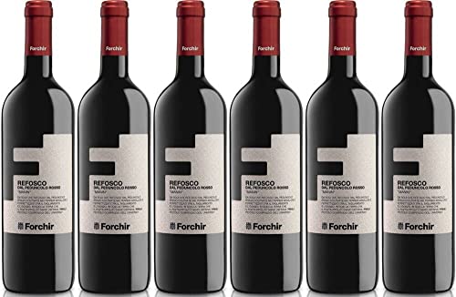 6x Refosco Refoscone 2019 - Weingut Forchir, Friuli-Venezia Giulia - Rotwein von Weingut Forchir