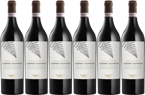 6x Cabernet Sauvignon Terroir d'Altitude 2020 - Weingut Fortant de France, Languedoc - Rotwein von Weingut Fortant de France