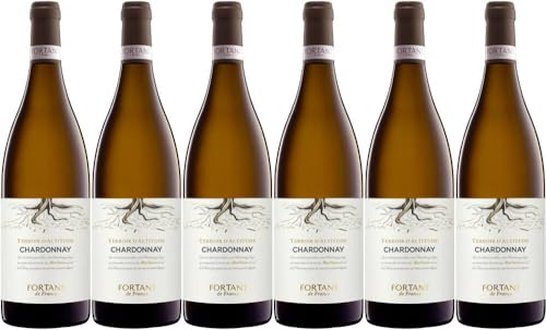 6x Chardonnay Terroir d'Altitude 2022 - Weingut Fortant de France, Languedoc - Weißwein von Weingut Fortant de France