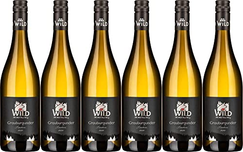 6x Grauburgunder trocken 2022 - Weingut Franz Wild, Baden - Weißwein von Weingut Franz Wild