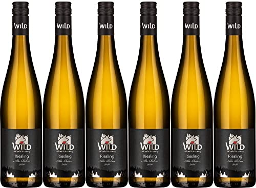 6x Riesling ***Alte Reben*** trocken 2022 - Weingut Franz Wild, Baden - Weißwein von Weingut Franz Wild