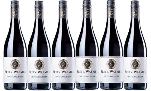 Weingut Fritz Waßmer Spätburgunder Rotwein QW trocken (6 x 0,75L) von Weingut Fritz Waßmer