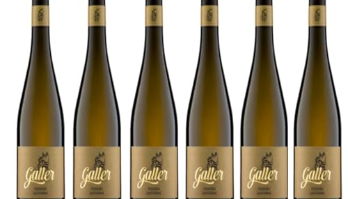 Der Feodora von Galler Piwi-Perfektion im Glas - Exotischer Genuss in jeder Flasche! Sauvignac trocken 6x von Weingut Galler
